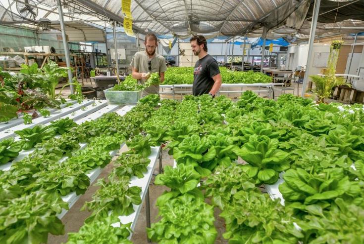 Screen Shot 2019-08-18 at 4.34.06 PM.png