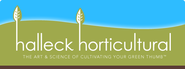 Profits From Roots To Shoots