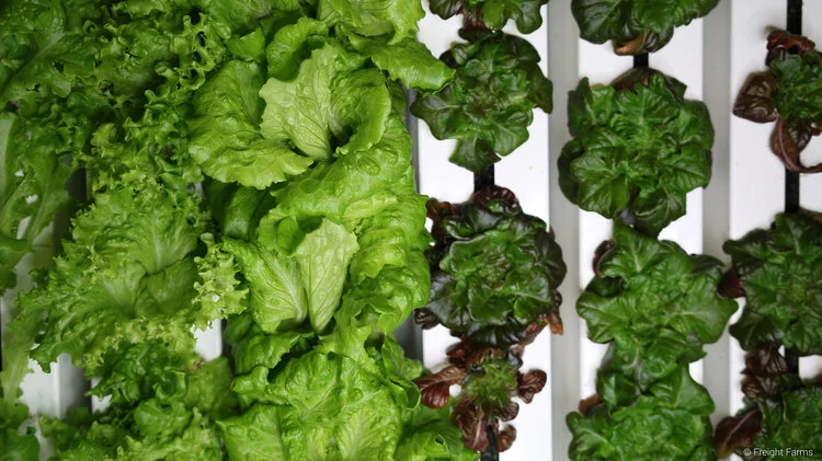 Freight+Farms_11.jpg