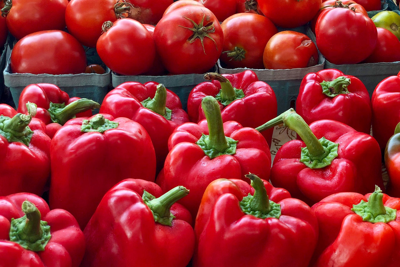 urban-farms-hellgate-peppers-tomatoes-1a.jpg