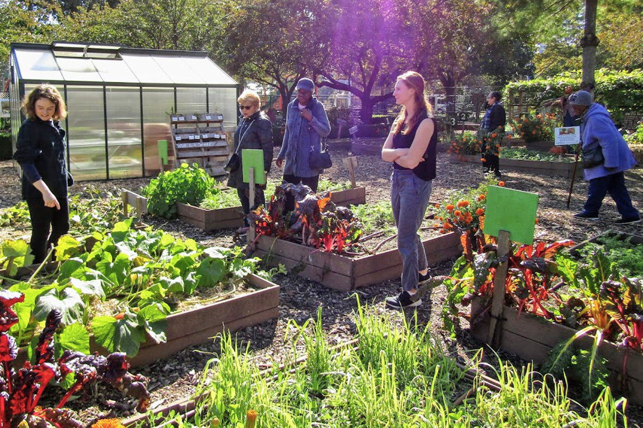 urban-farms-randalls-island-1a.jpg