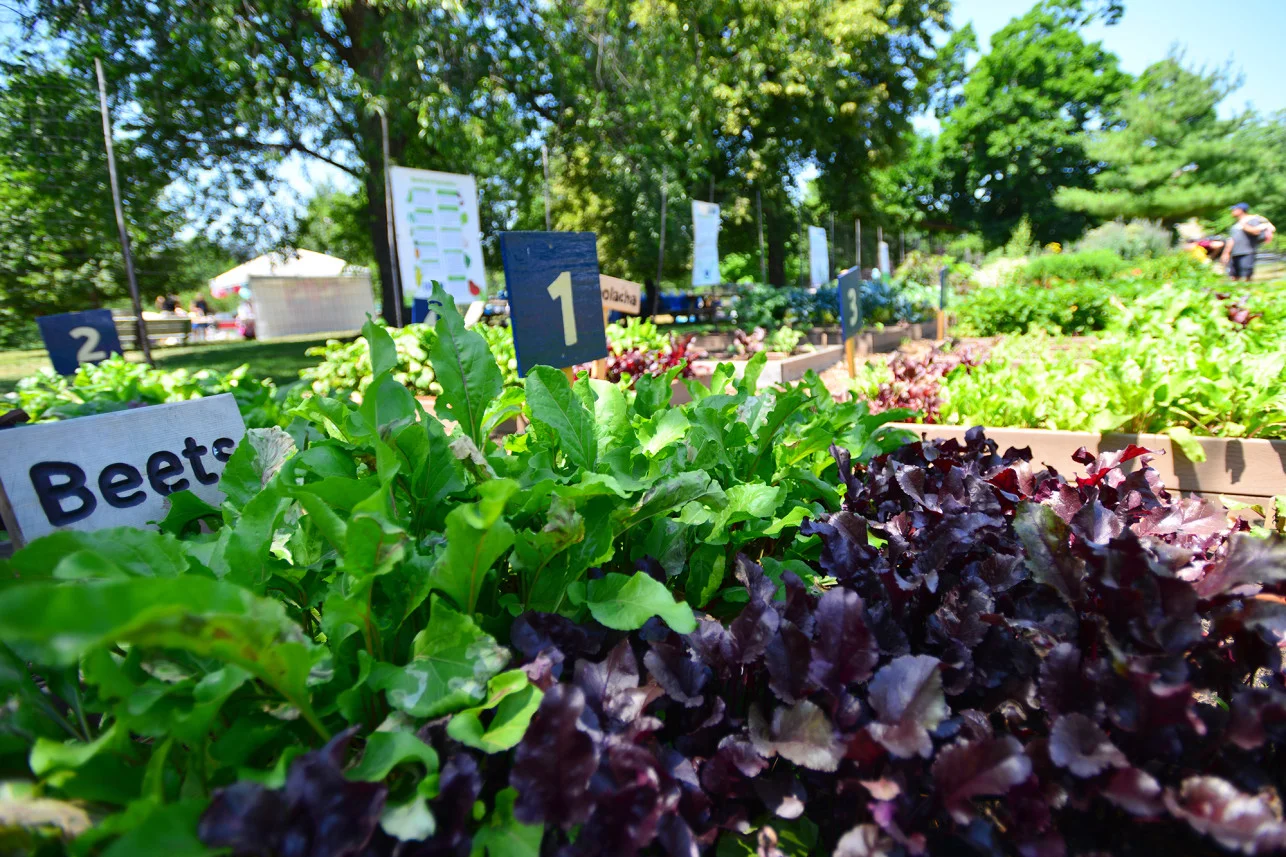 urban-farms-randalls-island-1-1a.jpg