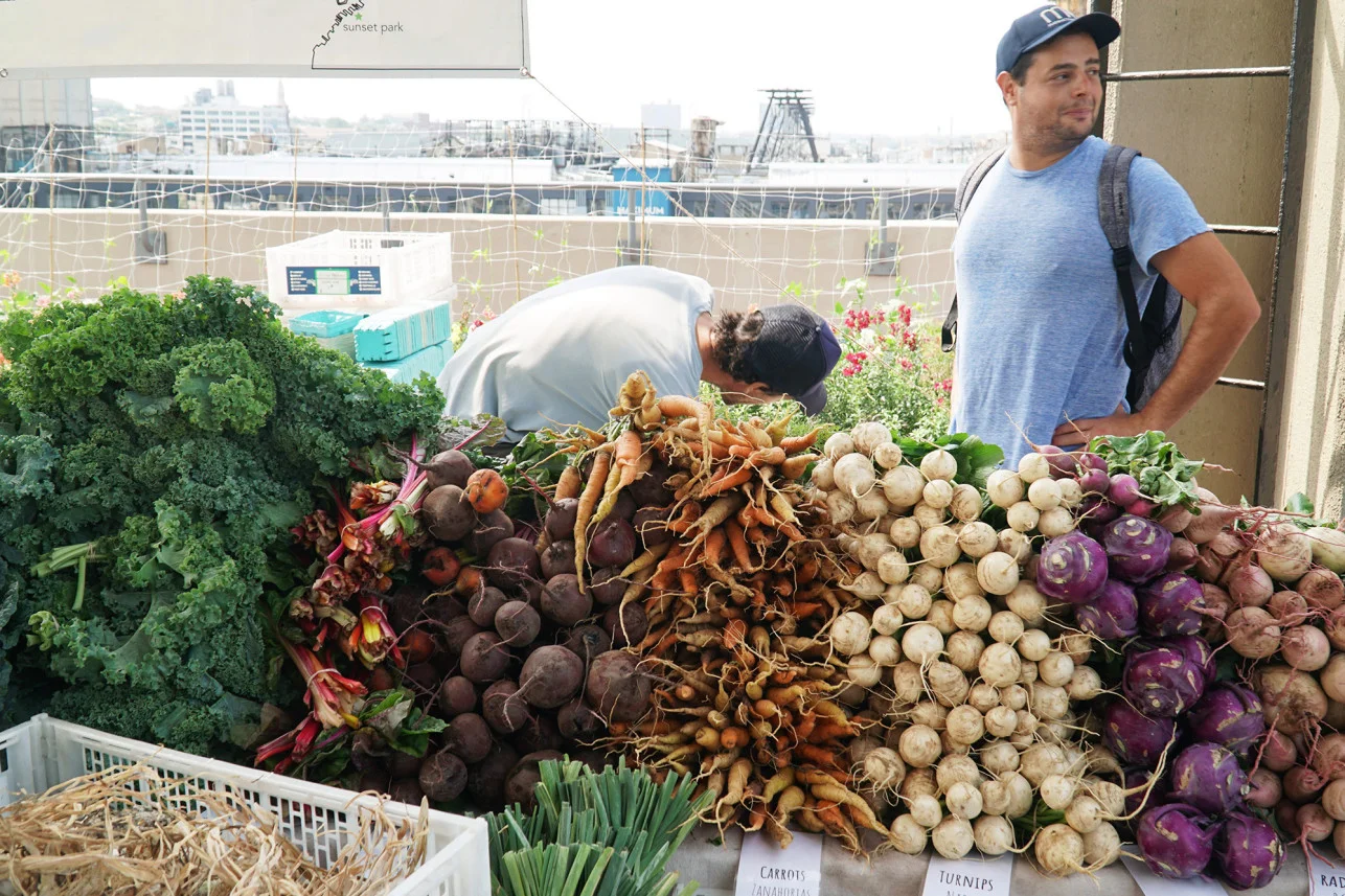 urban-farms-brooklyn-grange-veggies-1a.jpg