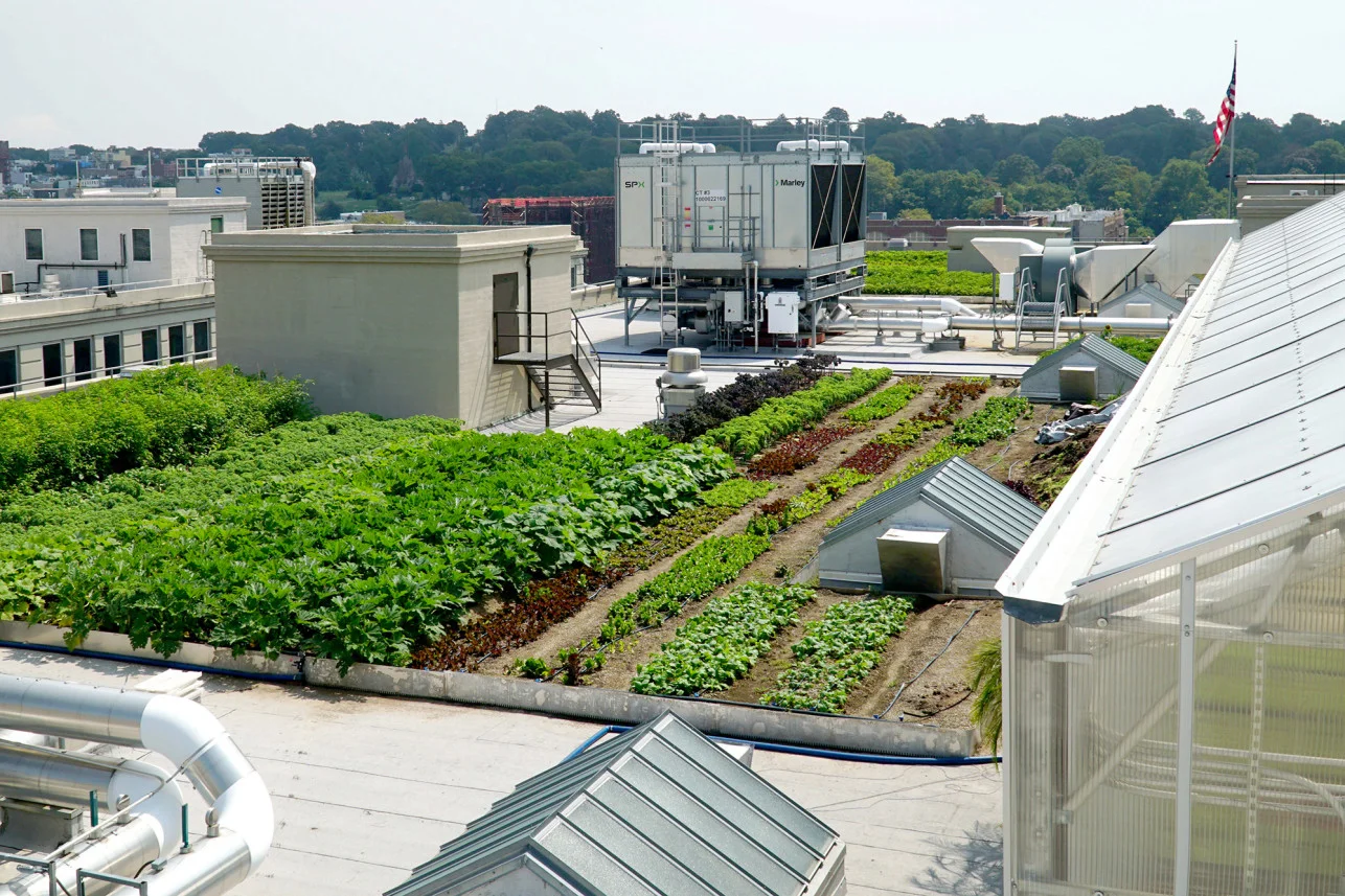 urban-farms-brooklyn-grange-overall-1a.jpg
