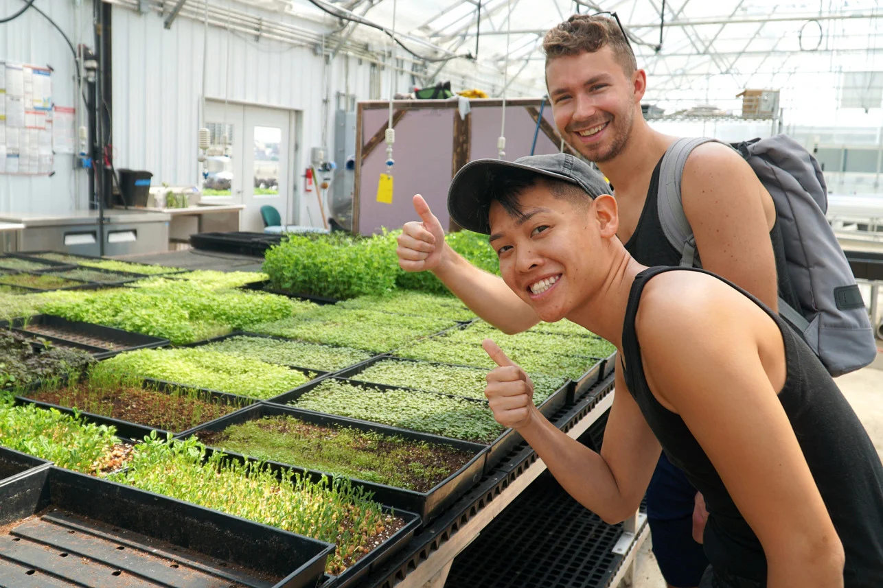 urban-farms-brooklyn-grange-visitors-1a.jpg