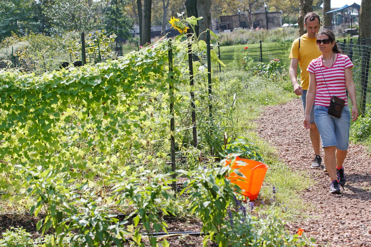 urban-farm-battery-walk-1a.jpg