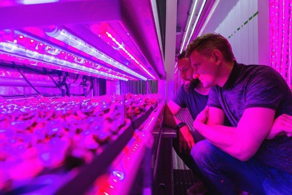 https___blogs-images.forbes.com_robindschatz_files_2019_02_FreightFarms_08__1550874594_45928__1550874594_23618.jpg