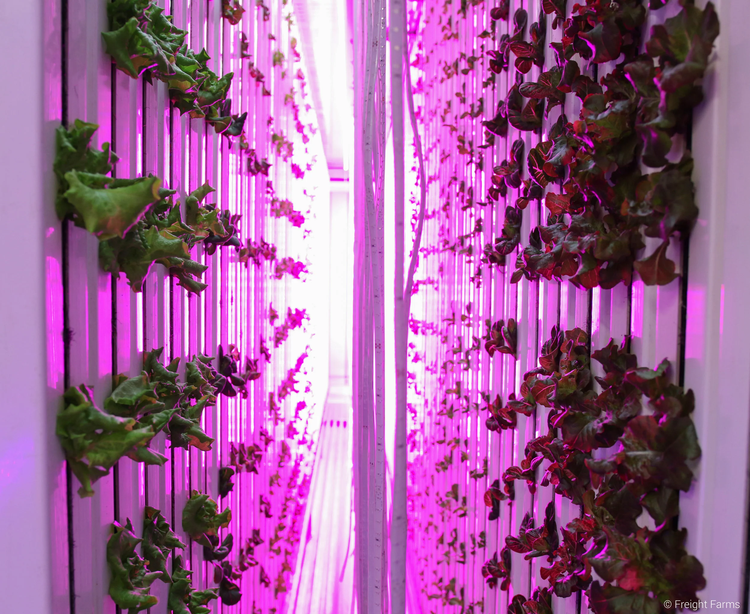 Freight Farms LED Lights 2.jpg