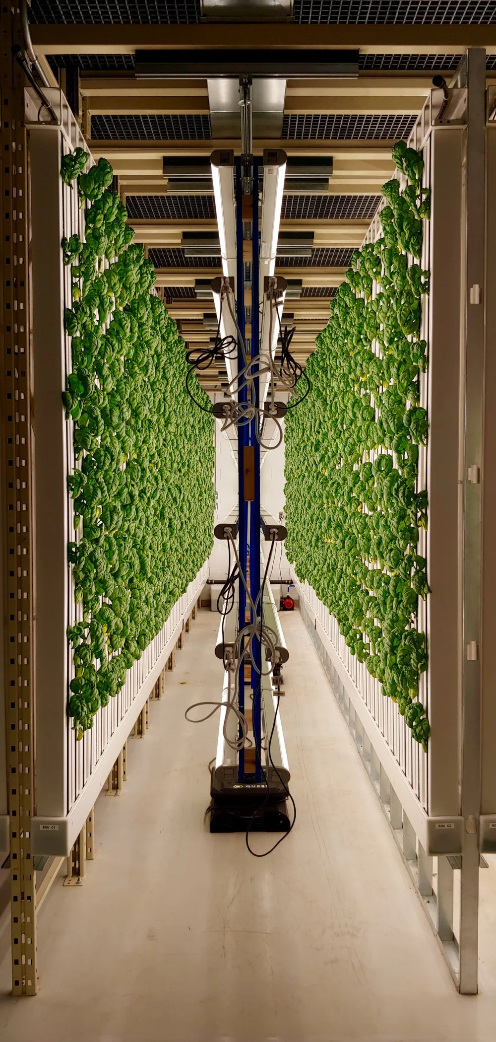 The production system at back40growers employs towers to grow herbs. Photo: Courtesy back40growers