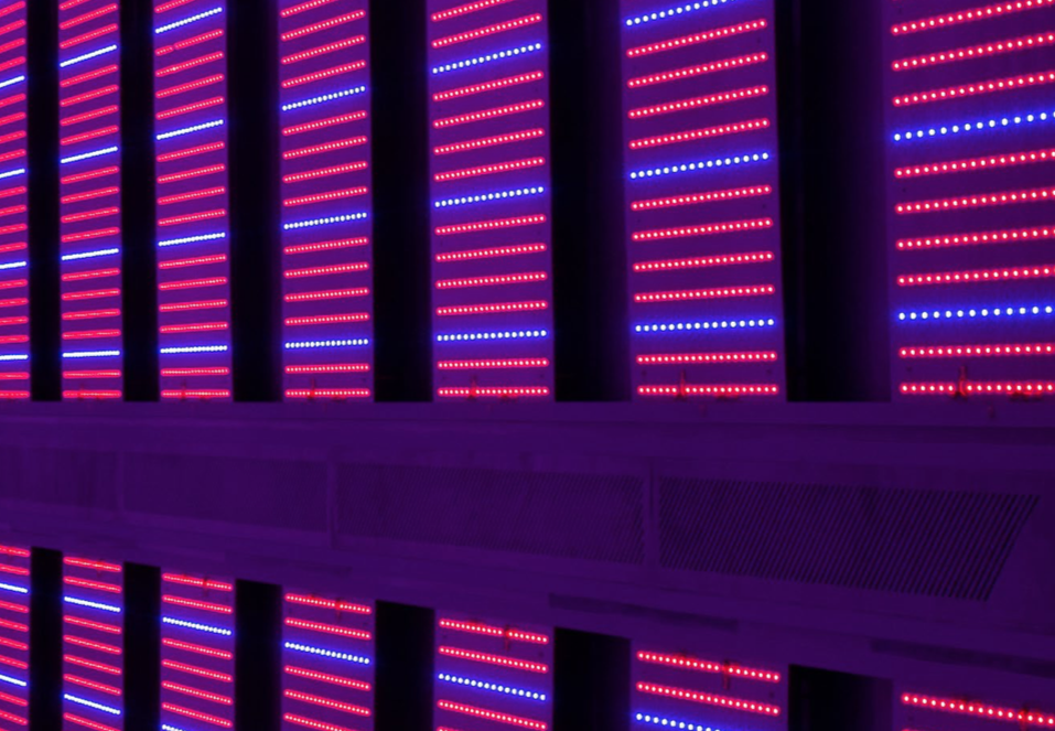 Screen Shot 2019-09-11 at 5.21.37 AM.png