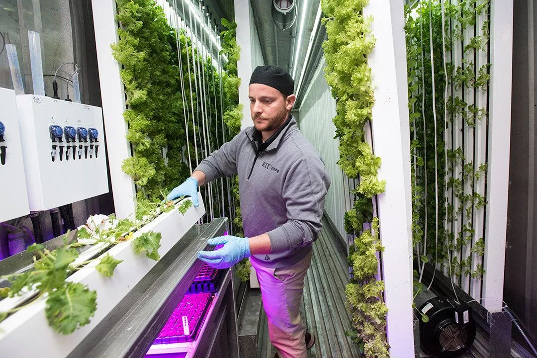 A. Sue WeislerInside the 40-foot-long farm-in-a-box, farm manager Dave Brault harvests some leafy greens. By using a vertical hydroponic system, Brault is able to maximize the farms growing space.