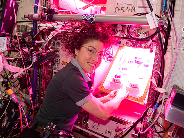 Photo: NASANASA astronaut Christina Koch initiates a plant growth experiment on the International Space Station within a Veggie unit by filling the upper reservoir.