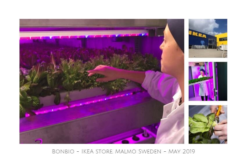 Image courtesy of Urban Crop Solutions
