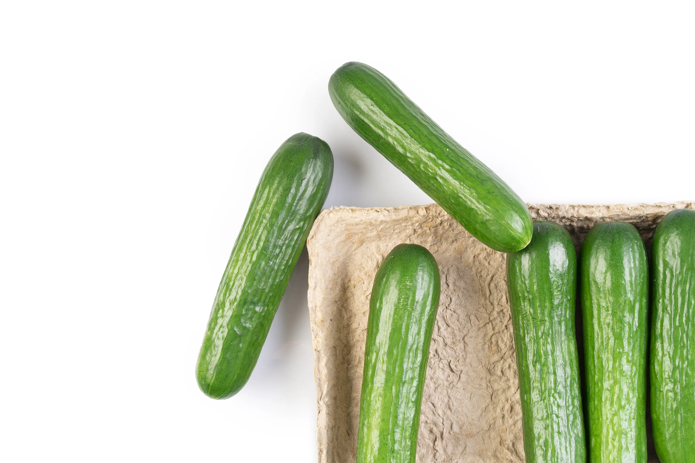 NFF-C-Mini-6CT_Compostable_Tray_Open Pack-W.jpg