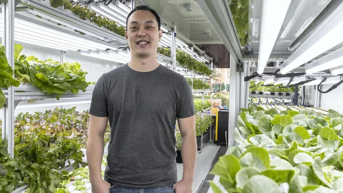 iGrow Pre-Owned-Indoor Vertical Farming News Archive-iGrow Pre-Owned