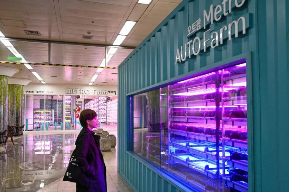 Farming-goes-underground-in-Seoul-subway-station (4).jpg