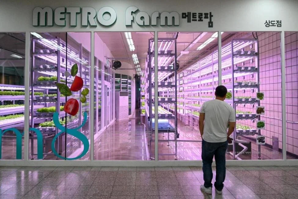 Farming-goes-underground-in-Seoul-subway-station.jpg