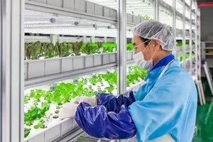 freshfarm-overview-1024x682.jpg