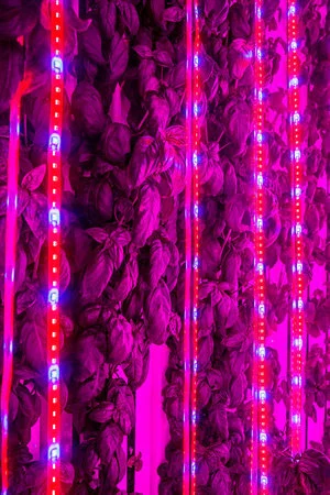 Freight+Farms+LED+lights.jpg