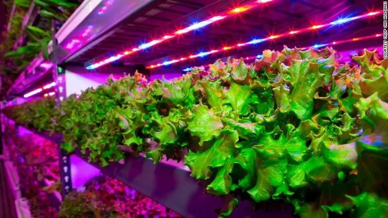 180704111712-crop-one-holdings-vertical-farm-exlarge-169.jpg