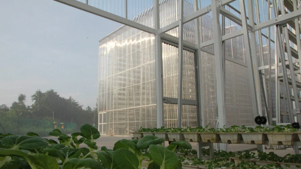 121205042557-singapore-vertical-farm-6-horizontal-large-gallery.jpg
