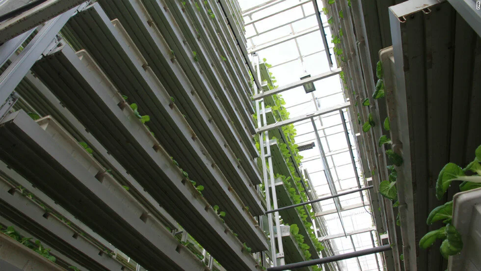 121205042140-singapore-vertical-farm-4-horizontal-large-gallery.jpg