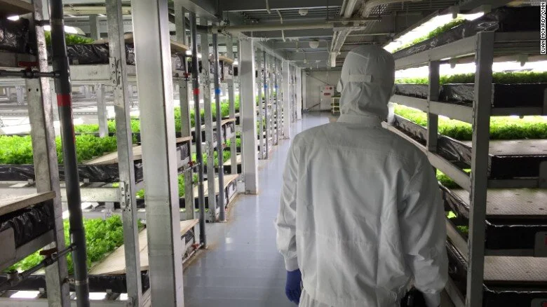 151201165950-kyoto-spread-vertical-farm-2-exlarge-169.jpg
