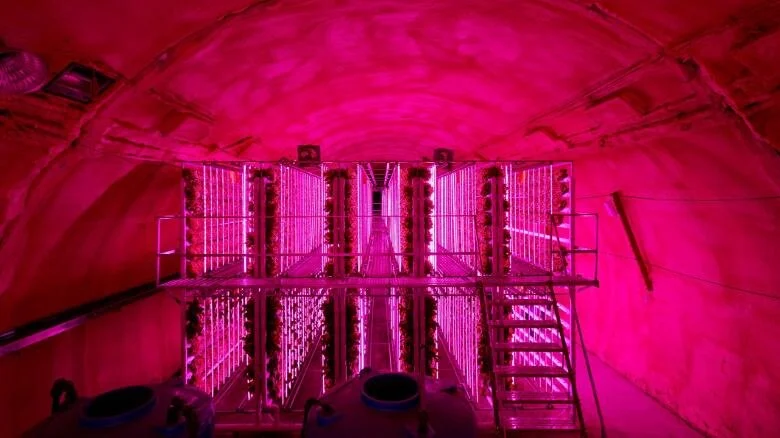191126112152-vertical-tunnel-farming-south-korea-1-exlarge-169.jpg