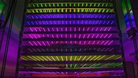 Is Vertical Farming Here to Stay?