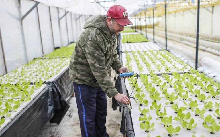 122219.N.DNT.LETTUCE.C02 (1).jpeg