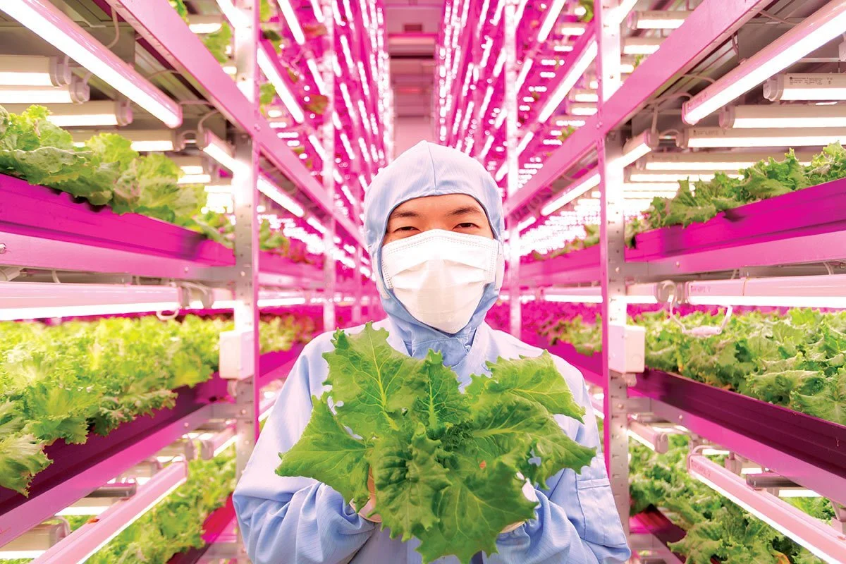 Japan Largest Indoor Farm Shigeharu Shimamura S Indoor Farm Sets