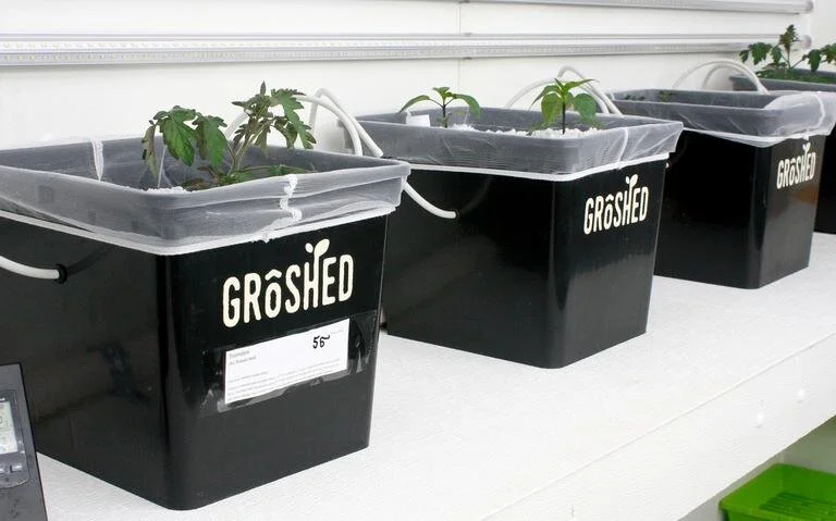 012520TFGROSHEDPOTS.jpg
