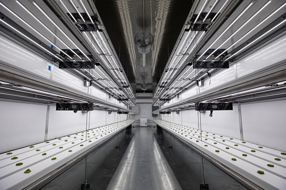 Top 7 Vertical Farming Companies Igrow