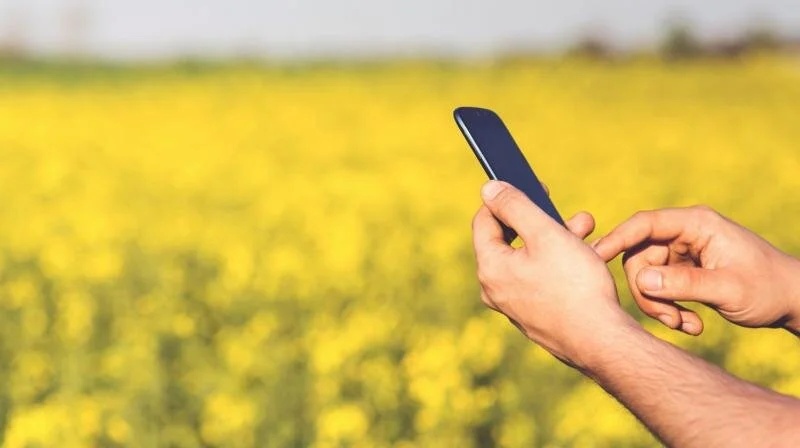 INDIA: Top 5 Agritech Startup That Helps You Set Up Soil-Less Indoor Farming