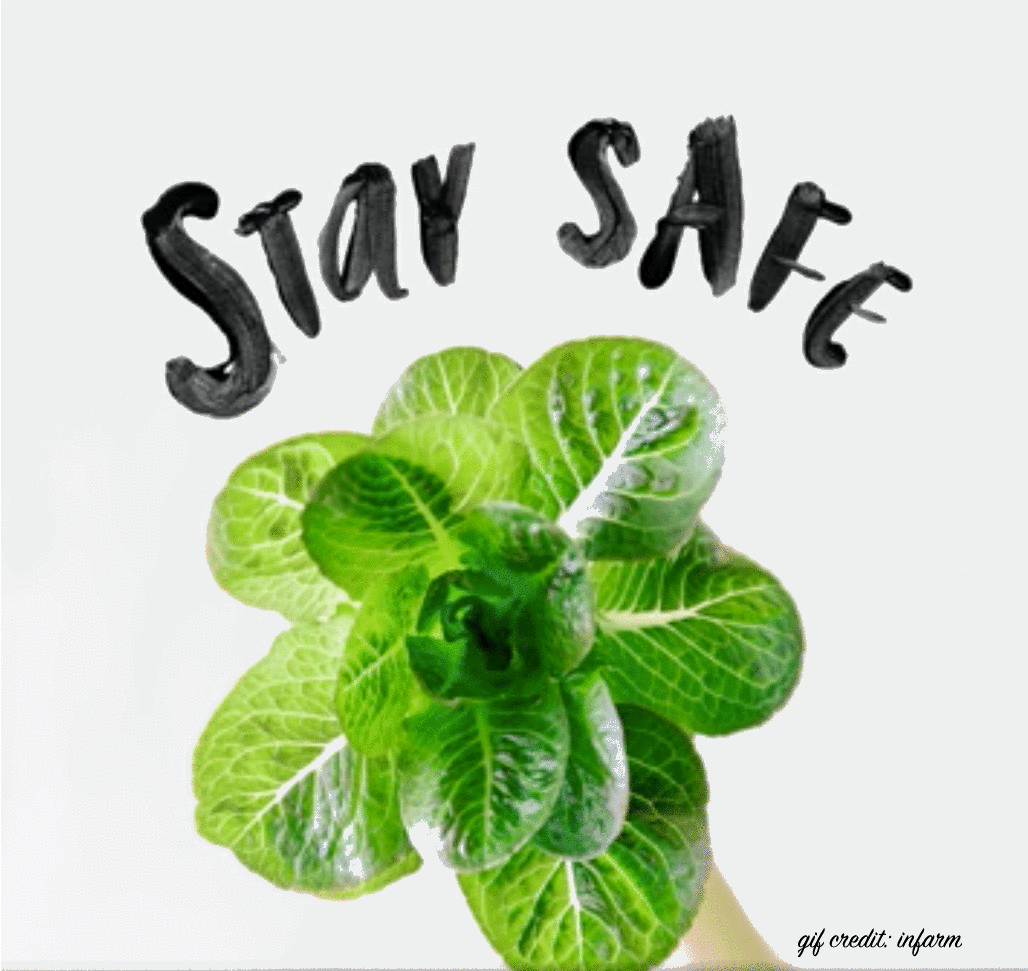 Novel Coronavirus (COVID-19) News Updates
