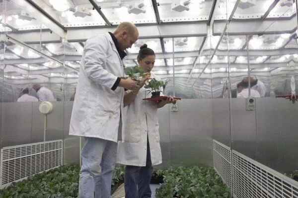 How A Winnipeg Company Wants To Change Agriculture Igrow