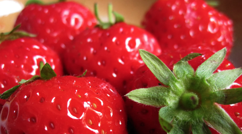 Are There Really Little Bugs in Your Strawberries?