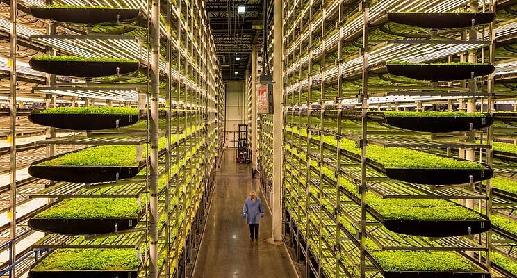 Vertical Farming With Hydroponics