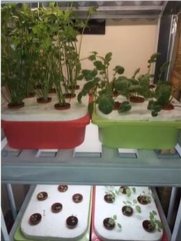 An indoor setup is also possible with the Wick System.