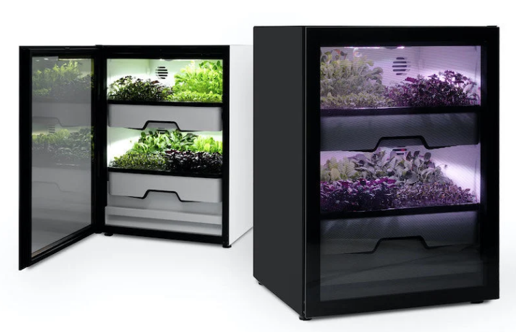 Screen Shot 2020-09-09 at 12.44.46 PM.png