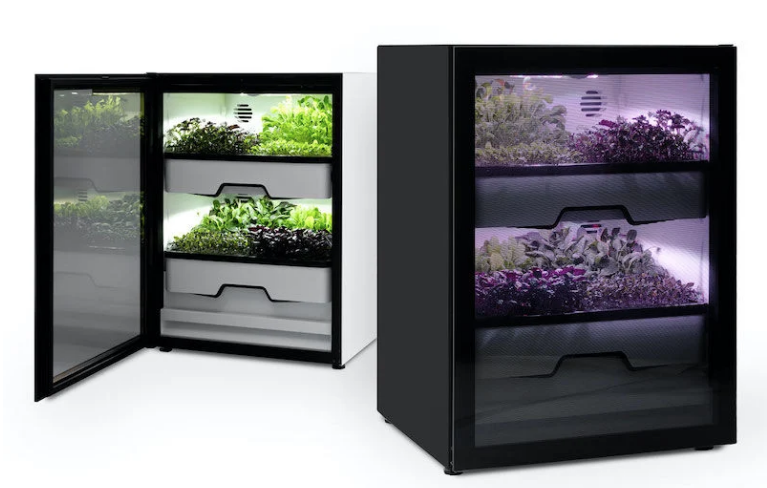 Miele And Agrilution Bring Vertical Farming Tech To Europe's Kitchens