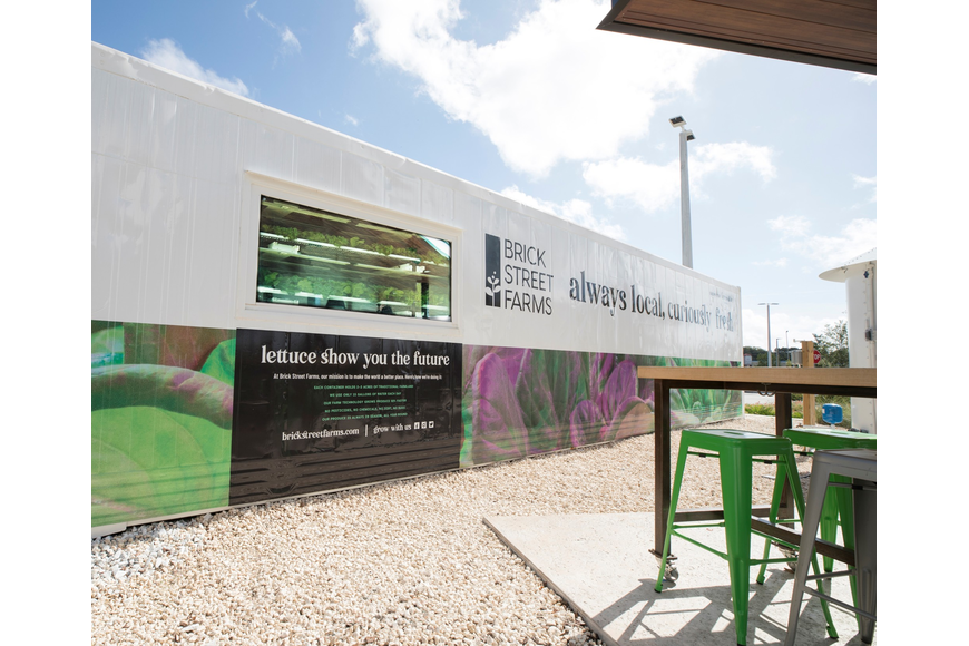 Publix And Its GreenWise Stores Go After Hydroponics In Big Ways