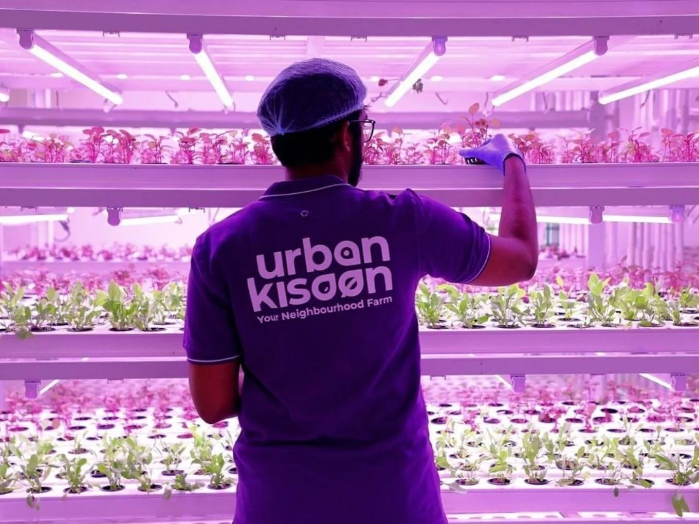 UrbanKisaan Is Betting On Vertical Farming To Bring Pesticide-Free Vegetables To Consumers And Fight India’s Water Crisis