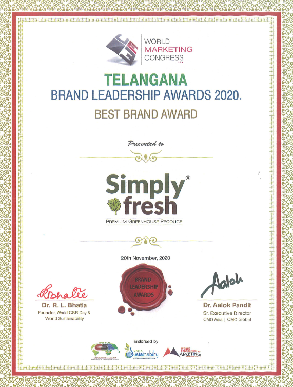 Screen Shot 2020-12-01 at 1.13.45 PM.png