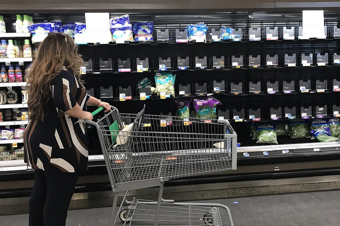 No lettuce as far as the eye can see. Photo: Washington State University