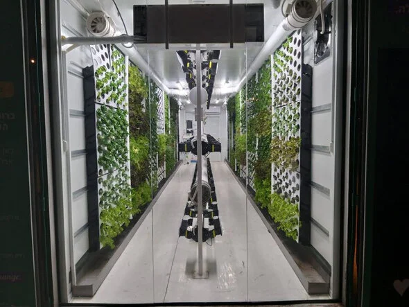 An inside look at the vertical farms. Photo: Vertical Field