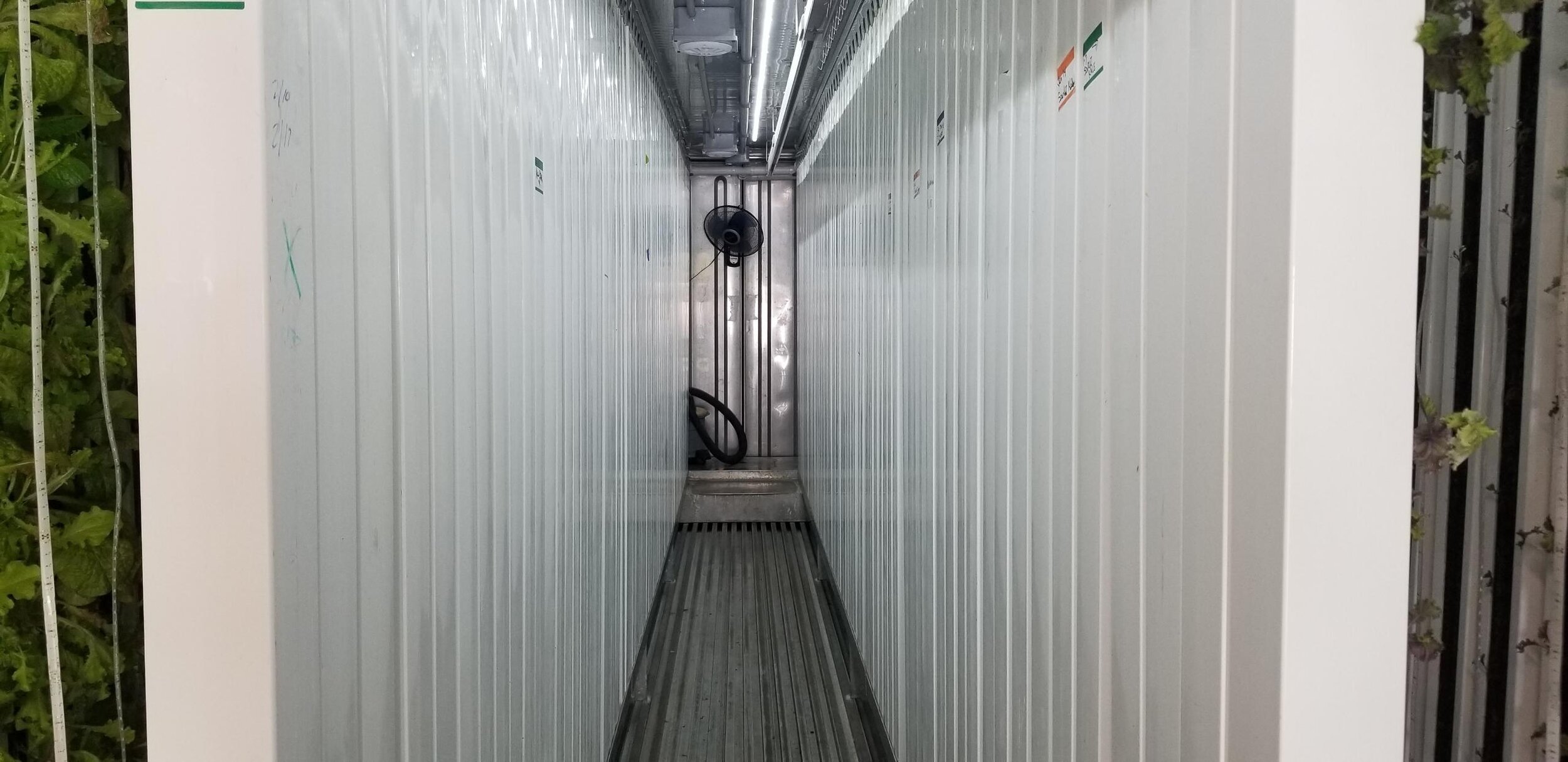 hall1-Hydroponic-Shipping-Container-Farm-Complete-Hydroponic Systems-Freight-Farms-Cost-Commercial-Vertical-Hydroponic-Systems-Pre-Owned-Freight-Farm-Leafy-Green-Machine.JPG