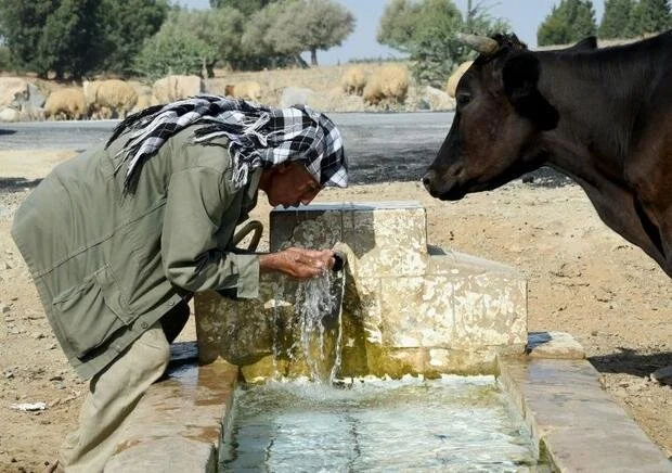 Water scarcity has been exacerbated in recent years by growing urbanisation and increasing demand from agriculture and industry. Fethi Belaid, AFP/File