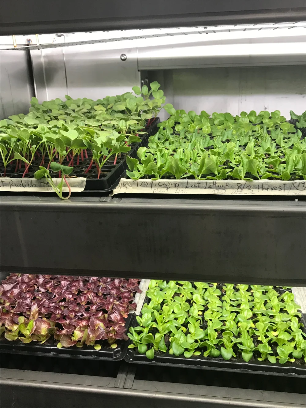 iGrow Pre-Owned-Shipping Container Farms For Sale | Pre-Owned Freight Farms  Leafy Green Machines | Container Farming-iGrow Pre-Owned