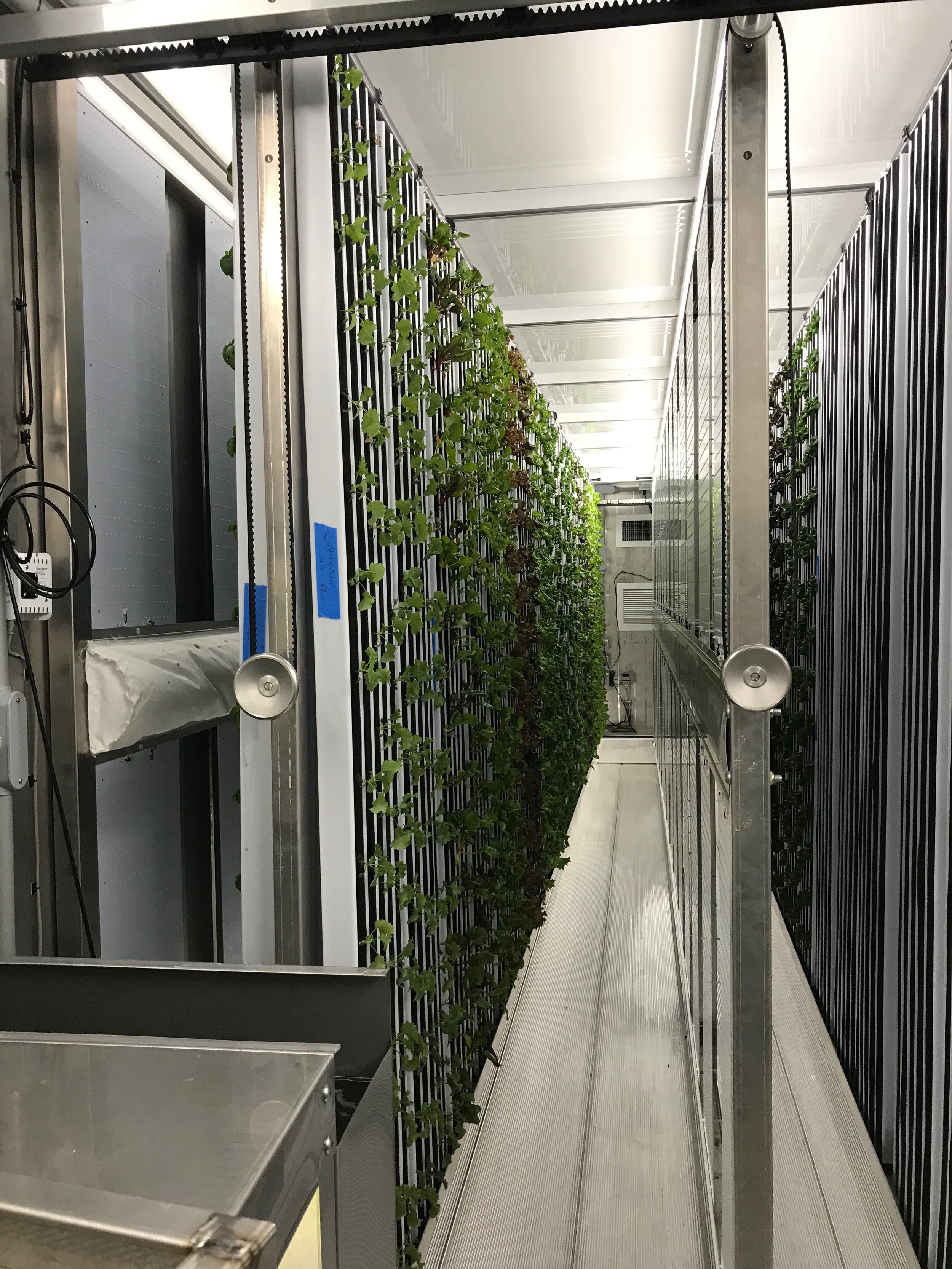 greenery-green-Hydroponic-Shipping-Container-Farm-Complete-Hydroponic Systems-Commercial-Vertical-Hydroponic-Systems-Pre-Owned-Freight-Farm-Greenery.jpg